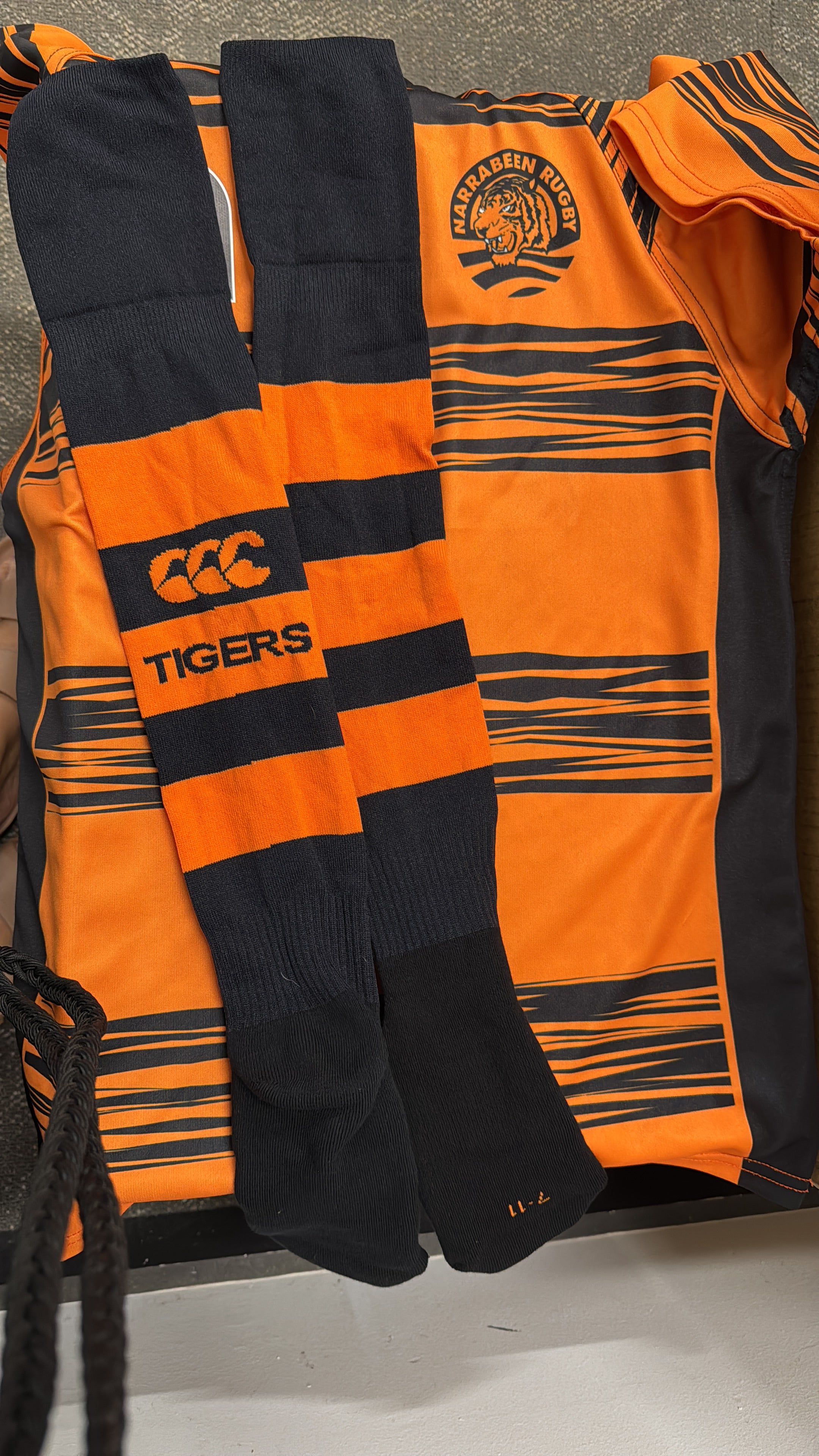 Tiger Playing Socks